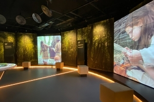 Image of interactive touchscreens at Bru Na Boinne