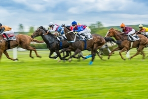 Read more about the article The Curragh Racecourse